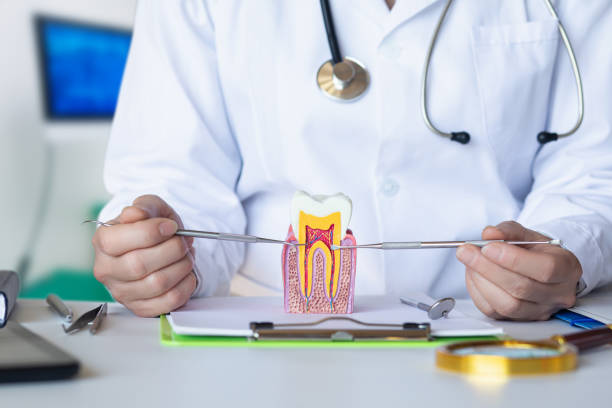 Best Mobile Emergency Dentist in Pine Nyon, CA